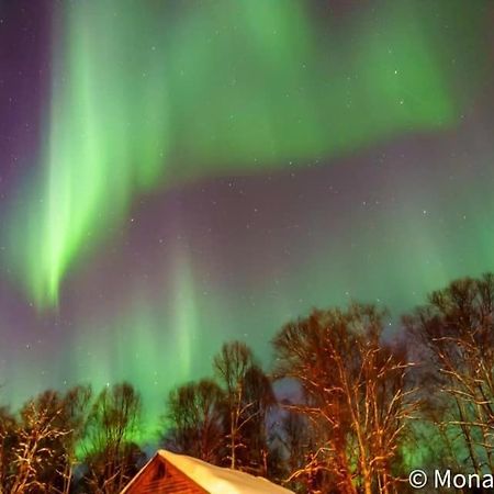 Susitna River Lodging, Suites Talkeetna Buitenkant foto