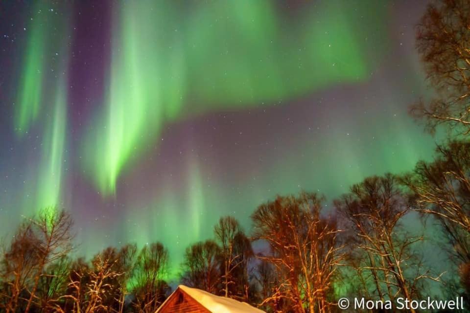 Susitna River Lodging, Suites Talkeetna Buitenkant foto