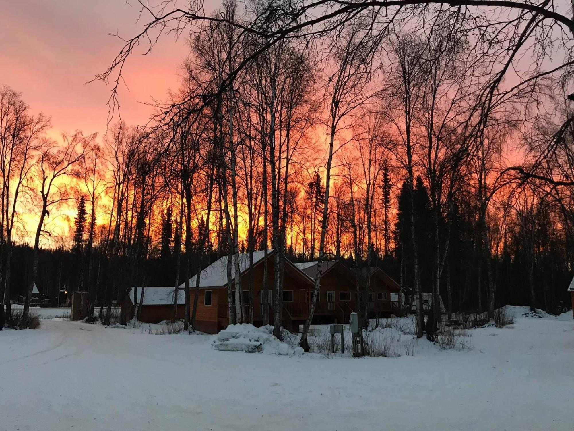 Susitna River Lodging, Suites Talkeetna Buitenkant foto